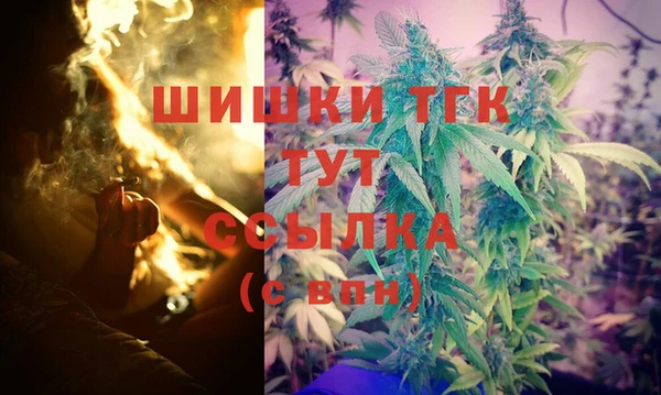 бошки Белокуриха